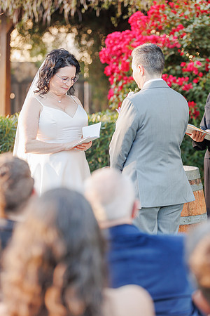SD-Meander-Gatherings-115