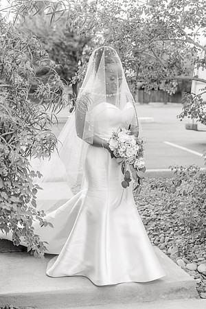 Photo_By_Meander-21