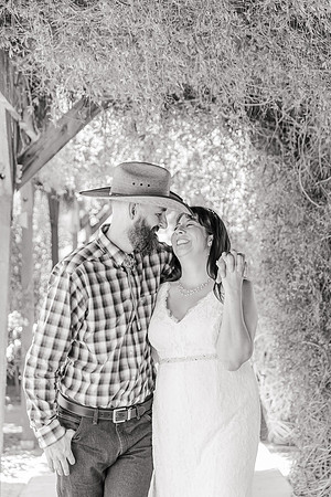 351 _Meander-Gatherings-Micro-Wedding-AMY and BRANDON