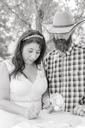 220 _Meander-Gatherings-Micro-Wedding-AMY and BRANDON