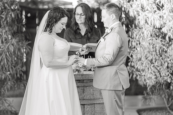 SD-Meander-Gatherings-128