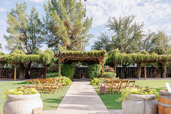 6-AZ-Micro-Wedding