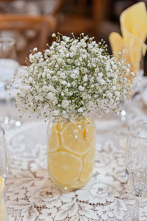 Shenandoah-Mill-Wedding-1