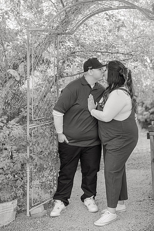 Greenhouse-Engagement-126