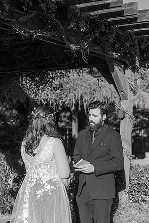 113_CT102923