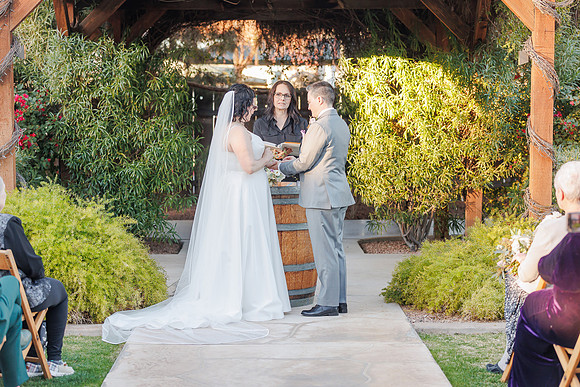 SD-Meander-Gatherings-124