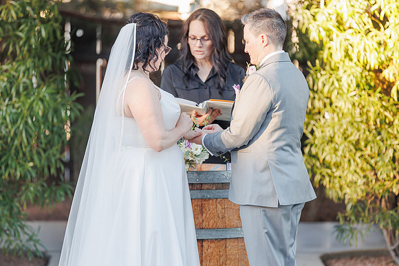 SD-Meander-Gatherings-125
