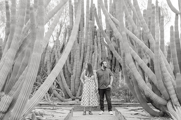 172-AA-Desert-Botanical-Garden-Engagement