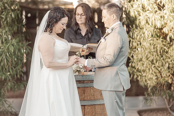 SD-Meander-Gatherings-127