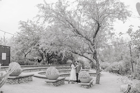 212-AA-Desert-Botanical-Garden-Engagement