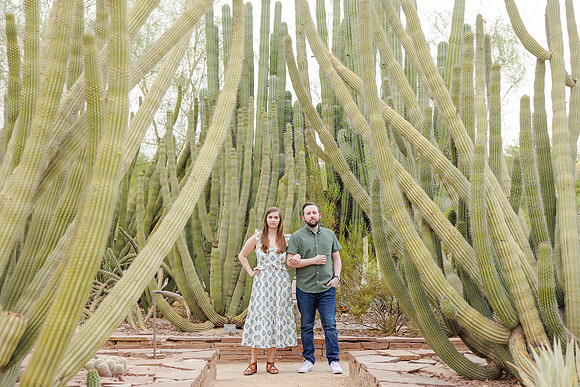 174-AA-Desert-Botanical-Garden-Engagement