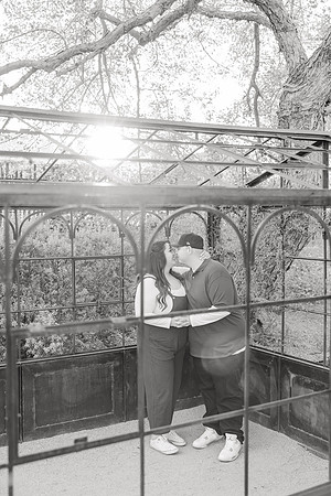 Greenhouse-Engagement-97