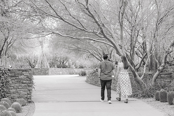 128-AA-Desert-Botanical-Garden-Engagement