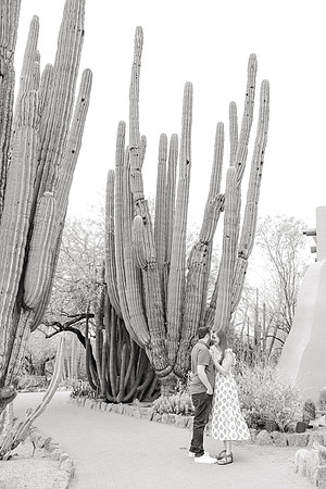 4-AA-Desert-Botanical-Garden-Engagement