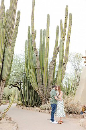 5-AA-Desert-Botanical-Garden-Engagement