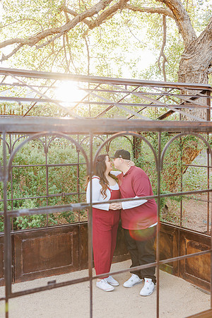 Greenhouse-Engagement-95