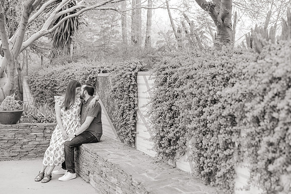 134-AA-Desert-Botanical-Garden-Engagement
