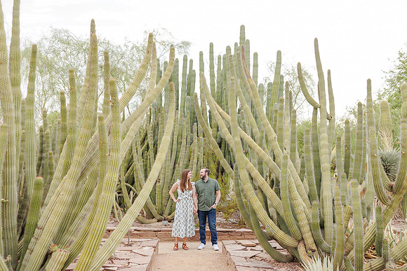 169-AA-Desert-Botanical-Garden-Engagement